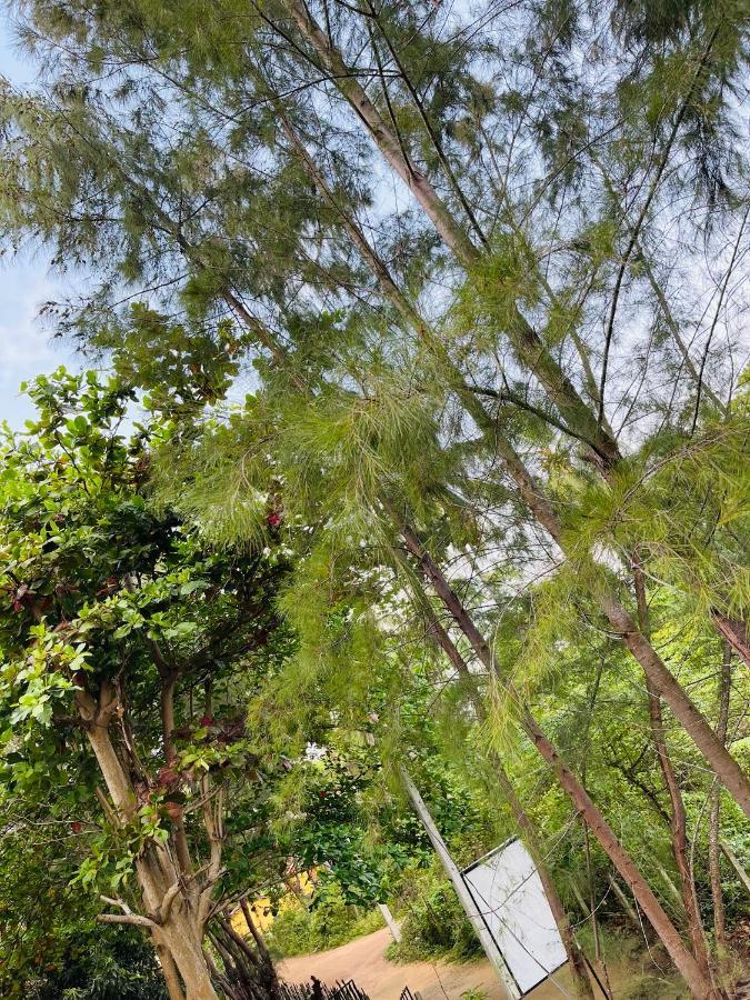 New Roy Guest House Kalkudah  Exterior photo